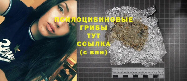 MDMA Богородицк